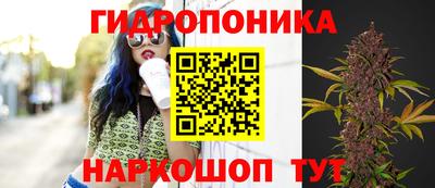 apvp Гусь-Хрустальный
