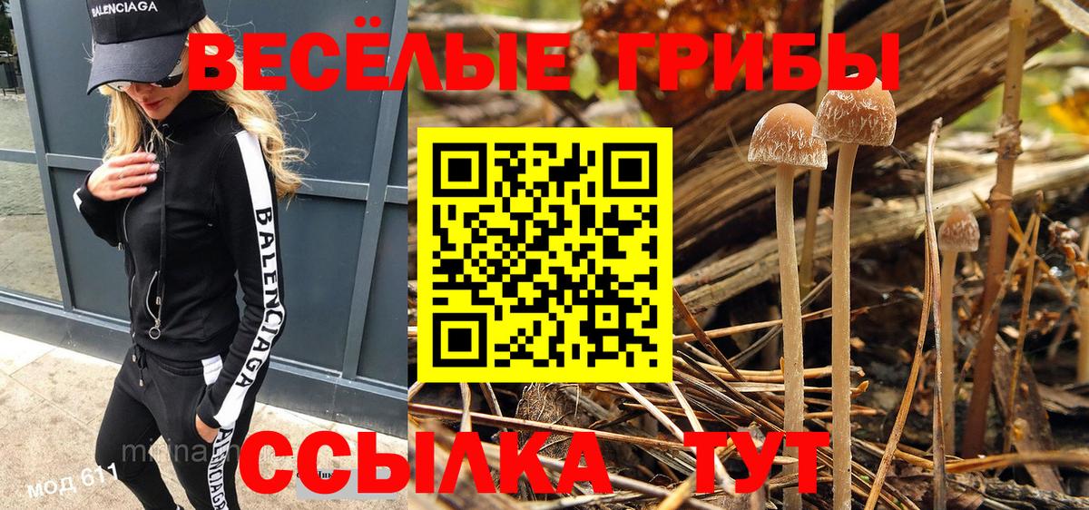 Галлюциногенные грибы GOLDEN TEACHER Назрань