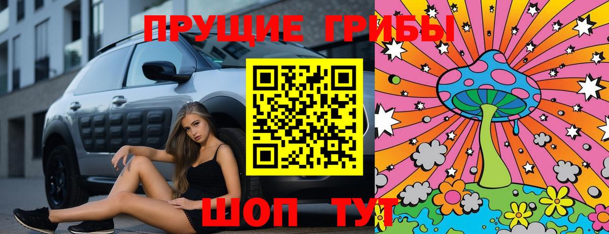 Псилоцибиновые грибы GOLDEN TEACHER  Вход с VPN  Назрань 
